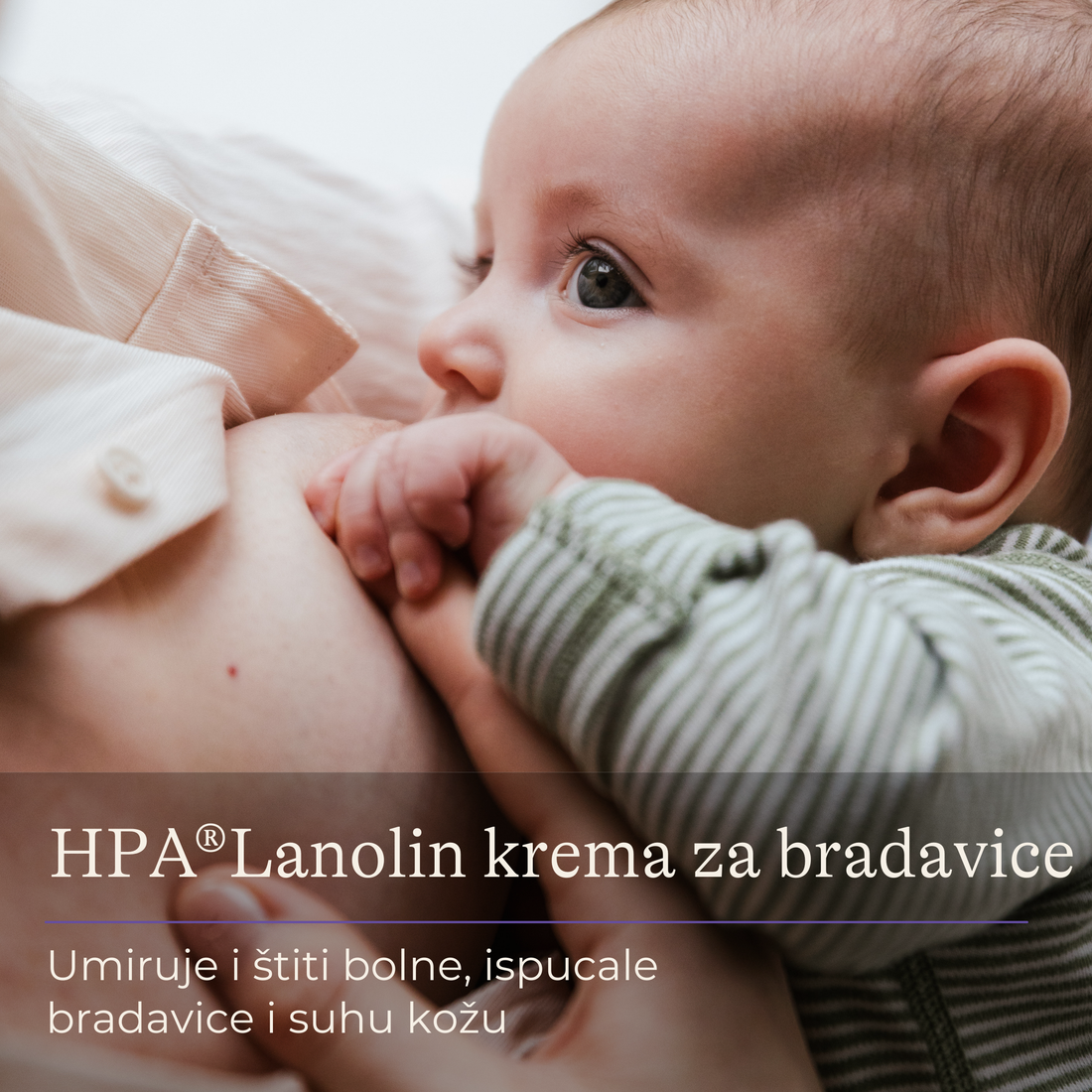 HPA lanolin krema za ispucale i bolne bradavice by lansinoh-uk nipple cream with ultra purified lanolin